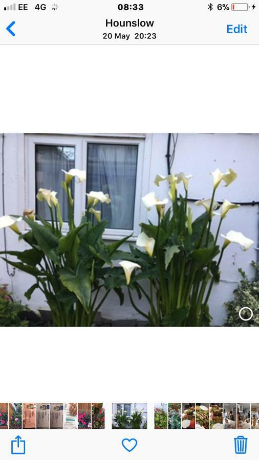 House Apartamento Hounslow Exterior foto